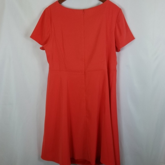 NWT Dressbarn Tangerine Fit and Flare Dress - Picture 4 of 6